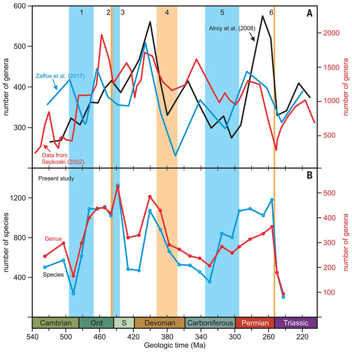 Общемировое биоразнообразие в палеозое