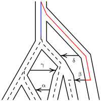 Реконструированная генеалогия пяти человеческих популяций