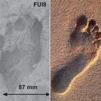 Слева: след древнего человека, жившего полтора миллиона лет назад (слева). Справа: след современного человека. Фото из обсуждаемой статьи в Science и с сайта www.visitandlearn.co.uk