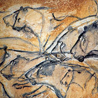 Согласно новым данным, возраст угля, которым нарисованы эти львы на стене пещеры Шове (Франция) – 36 000 лет, а не 31 000, как считалось раньше (изображение с сайта www.bradshawfoundation.com)