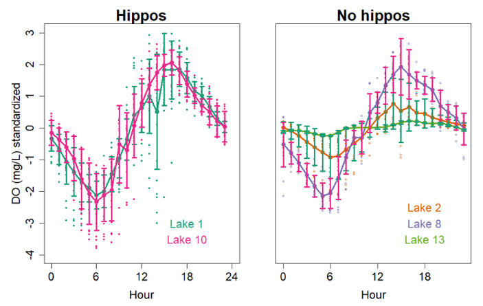 Рис. 3. Суточные колебания концентрации растворенного кислорода