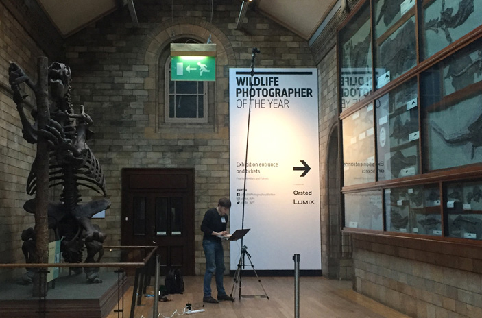 Рис. 2. Николай Зверьков фотографирует скелет нанноптеригия