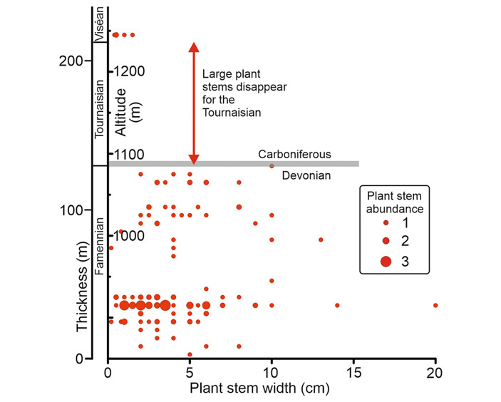 Рис. 3. Обилие растительных находок в разрезе
