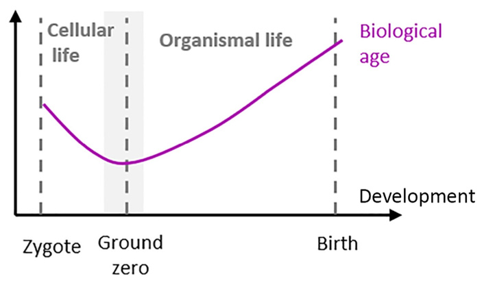 Рис. 1. Нулевая точка старения