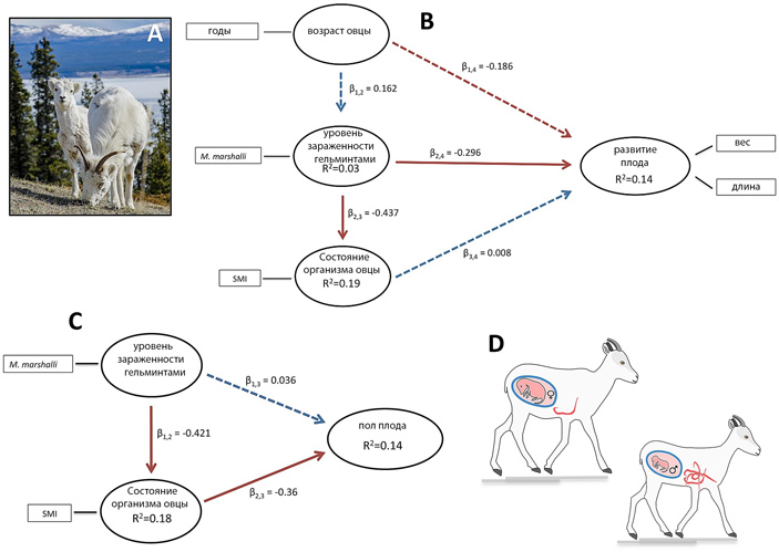 Рис. 4. Основные результаты обсуждаемой работы