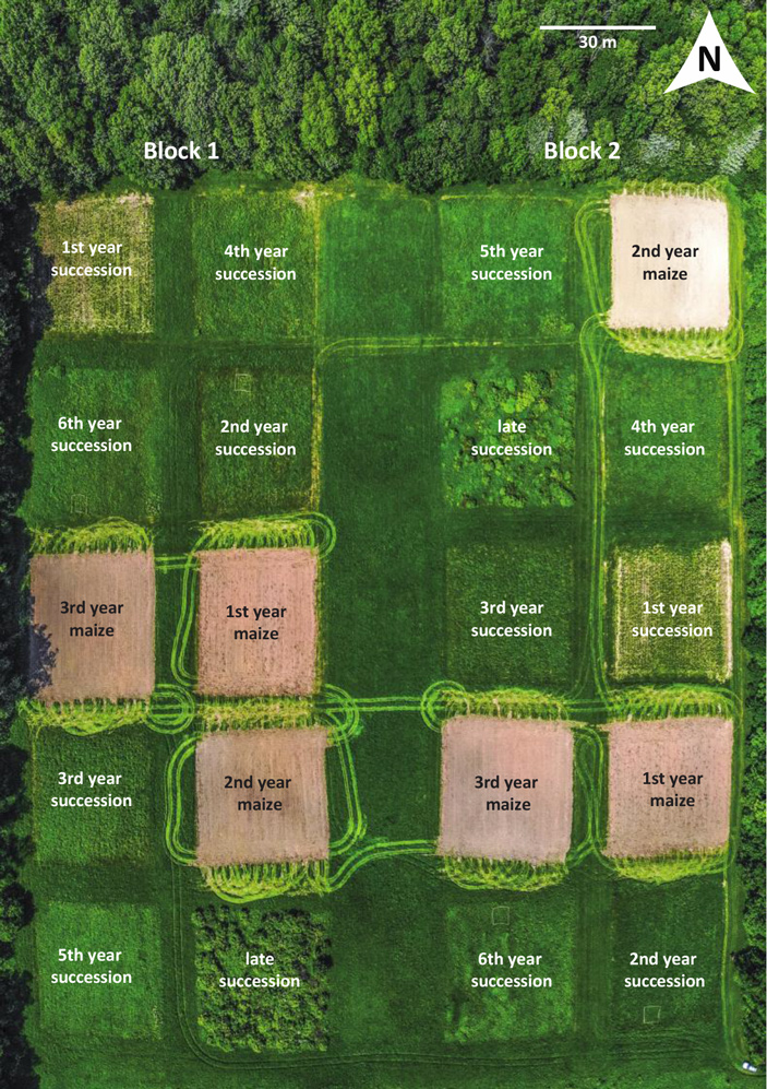 Рис. 2. Аэрофотография экспериментального поля
