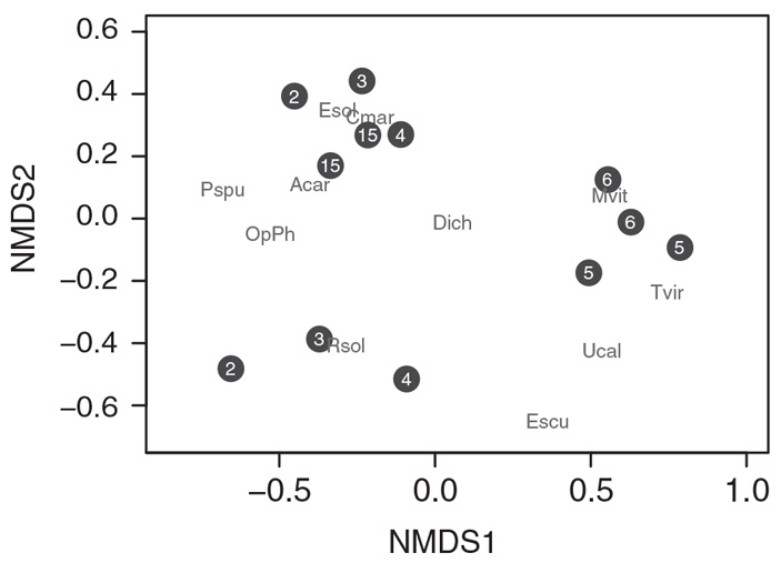 Рис. 3. Сообщества фитофагов на золотарниках