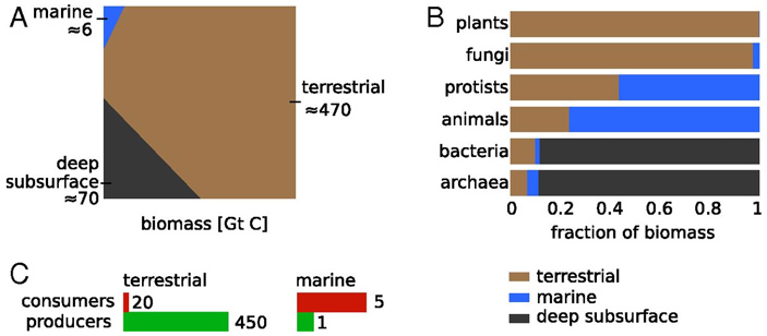 Оценки обилия жизни в разных биотопах планеты