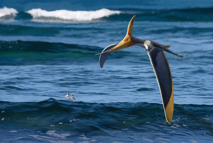 Реконструкция саратовского птеранодонтида
