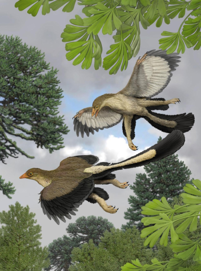Археоптериксы в полете