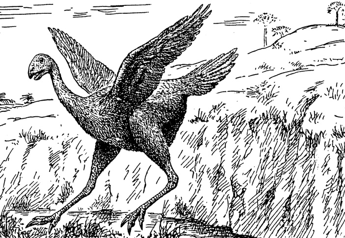 Рис. 3. Авимим, динозавр из семейства овирапторид, имевший рост около 70 см