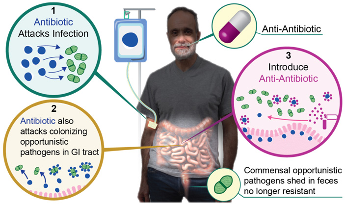 Рис. 1. Графическое представление сути обсуждаемой работы