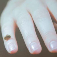 Дочь денисовца и неандерталки