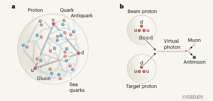 Рис. 1. Протон, летящий с околосветовой скоростью