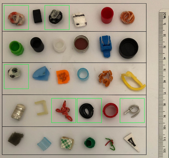 Рис. 1. Набор предметов, которые ученые подкладывали в вольер