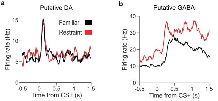 Рис. 3. Активность (firing rate) нейронов VTA в ответ на звуковой сигнал, предвещающий награду