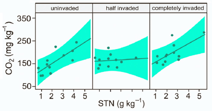 Рис. 3. Зависимость скорости минерализации от содержания азота в почве