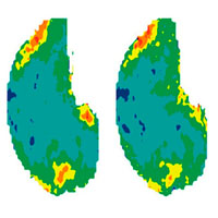 Нейрогастрономия