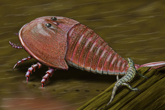 Гигантский ракоскорпион гиббертоптер