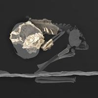 Рис. 1. Пещера Панга-я-Саиди: вид на место раскопок с соседней скалы