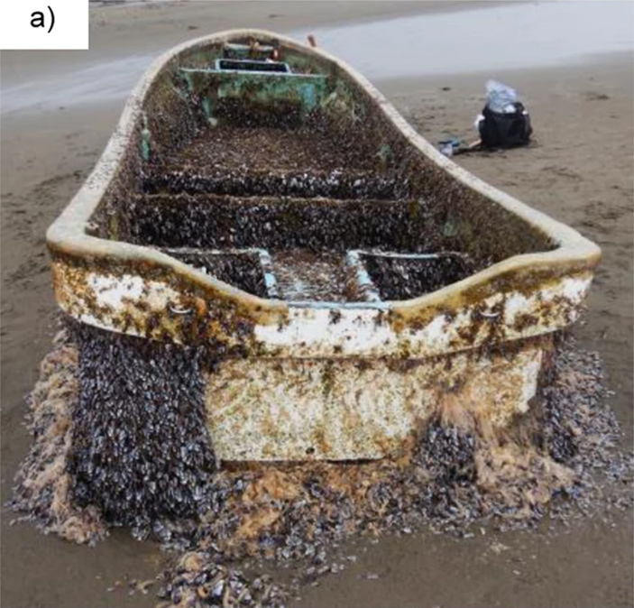 Рис. 2. Лодка, унесенная японским цунами 2011 года и выброшенная на побережье Орегона в мае 2020 года