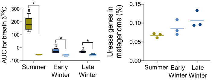 Рис. 3. Содержание изотопа 13С в выдыхаемом сусликами воздухе