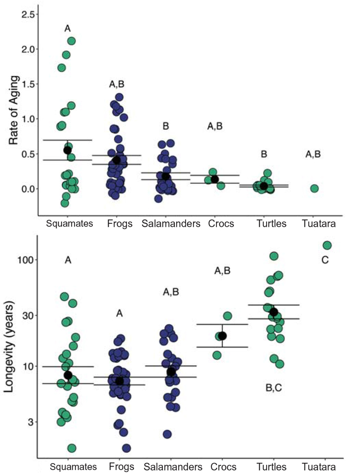 Рис. 2. Скорость старения и продолжительность жизни у представителей шести отрядов амфибий и рептилий