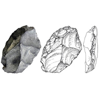 Рис. 1. Пять косточек из Денисовой пещеры, отнесенных к гоминидам