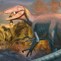 Новый вид мегарапторов Joaquinraptor casali