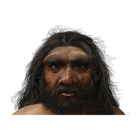 Рис. 1. Палеолитическое местонахождение Нешер Рамла