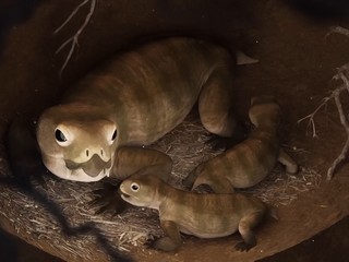 Дииктодоны в норе