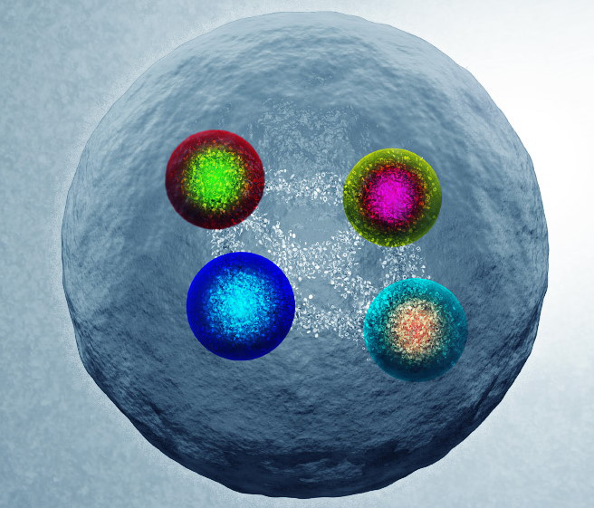 Рис. 6. Условное изображение «максимально очарованного» тетракварка