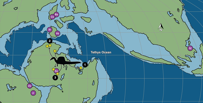 Палеоареал спинозаврид в середине мелового периода