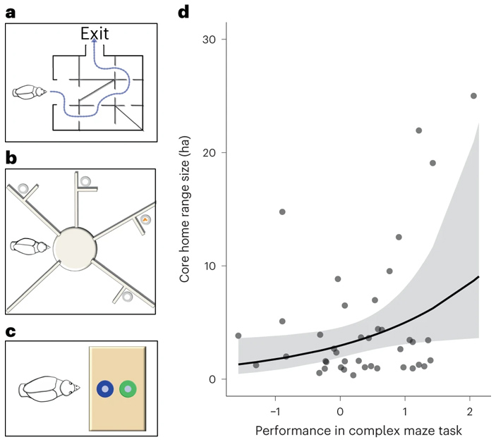 Рис. 2. Три когнитивных теста