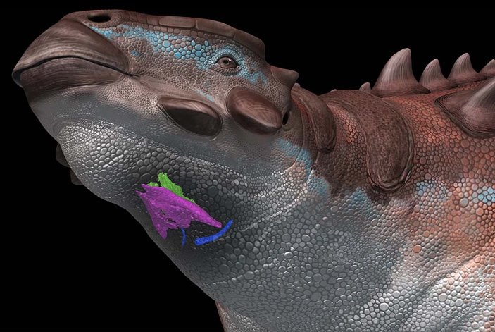Реконструкция гортани пинакозавра