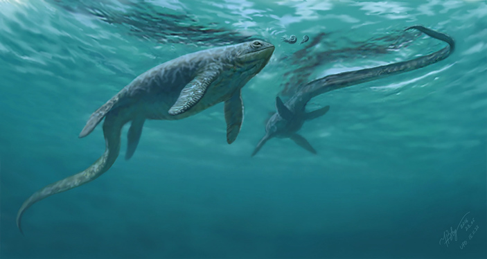 Пара склерокормов в естественной среде обитания