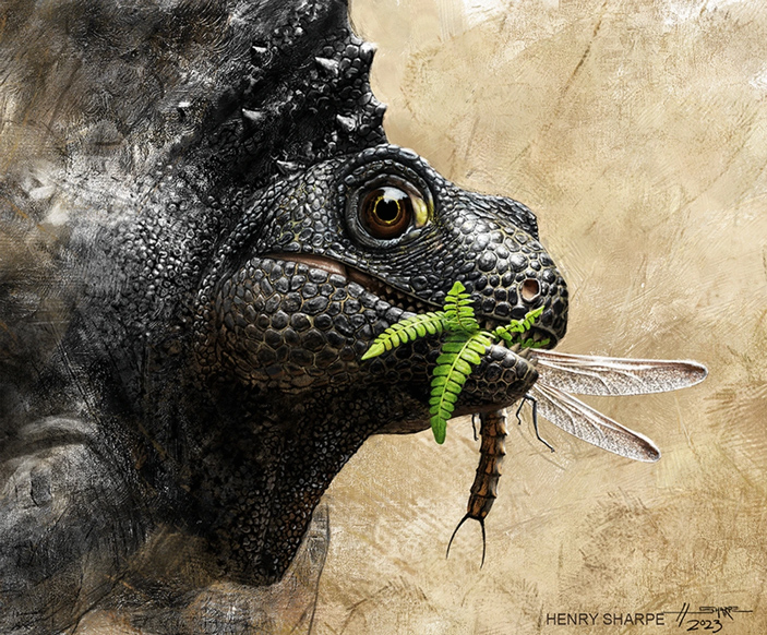 Художественная реконструкция синапсиды Melanedaphodon hovaneci