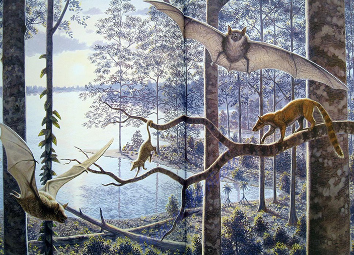 В эоценовом лесу Месселя уже жило несколько видов летучих мышей