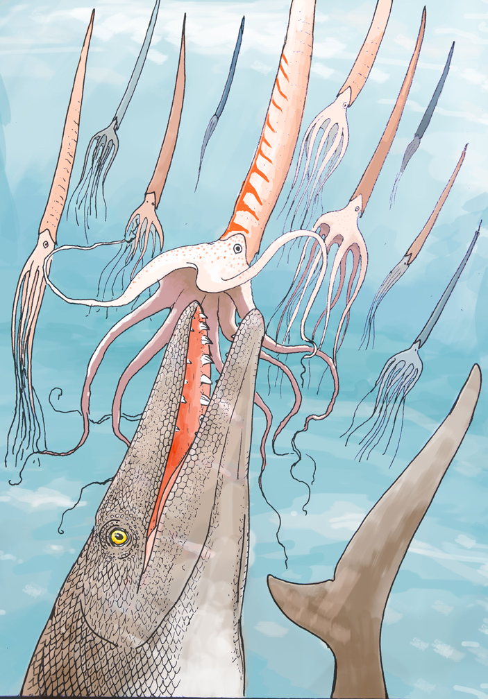 Загадочные зубы нового вида мозазавров