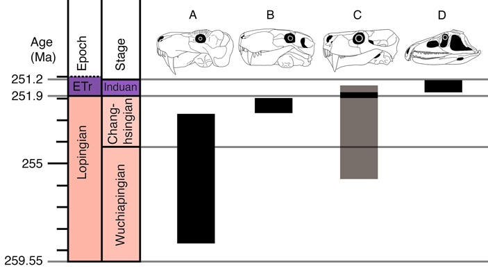 Постепенная смена доминирующих хищников в Южной Африке в конце пермского периода