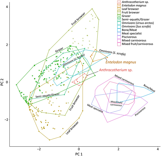 Диаграмма полученная с помощью метода главных компонент (PCA) на основание восьми переменных микроизноса