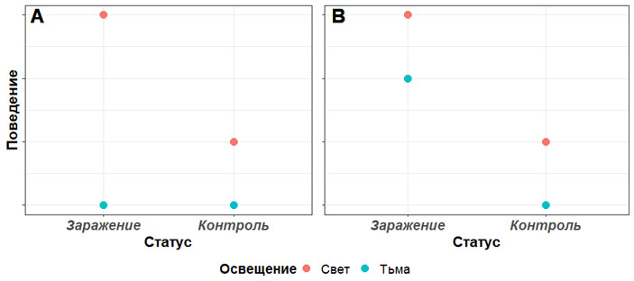 Рис. 2. Ожидаемые результаты исследования