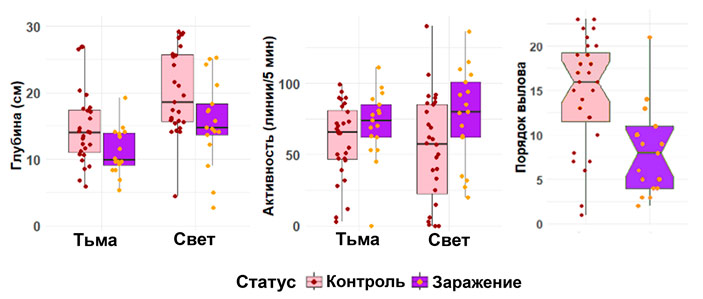 Рис. 4. Результаты экспериментов
