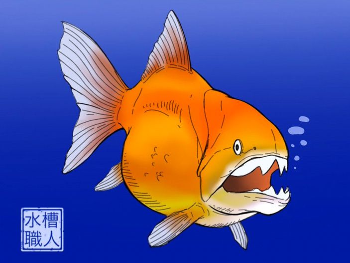 Рис. 1. Гибрид золотой рыбки и дунклостея