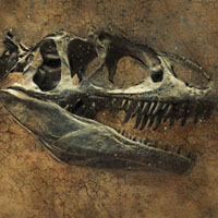 Массовое вымирание на рубеже мезозоя и кайнозоя