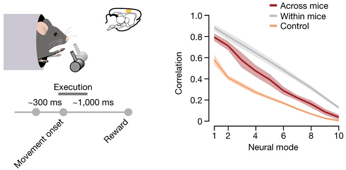 Рис. 4. Расчеты скрытой траектории активаций