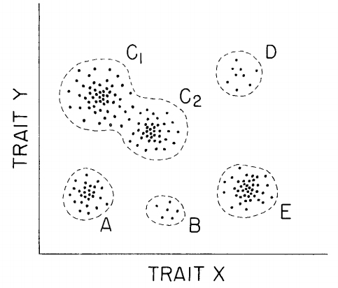 Рис. 5. Простейшее признаковое пространство. X, Y — признаки, A, B, C1, C2, D, E — таксоны
