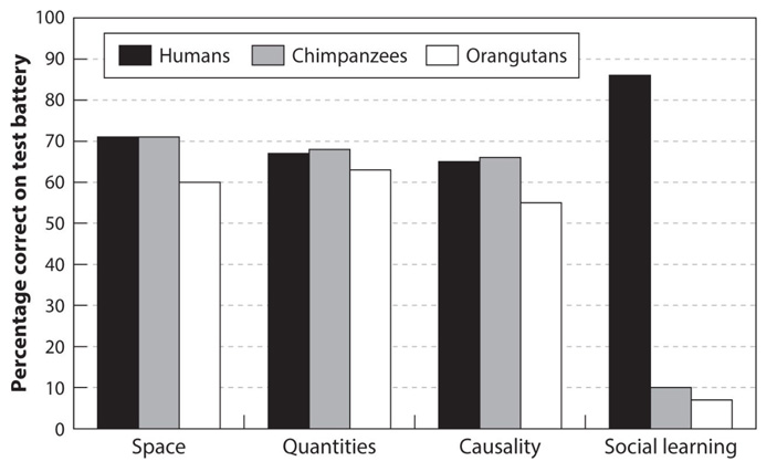 Рис. 2. Диаграмма, показывающая сравнительные успехи шимпанзе, орангутанов и человеческих детей в решении четырех классов задач