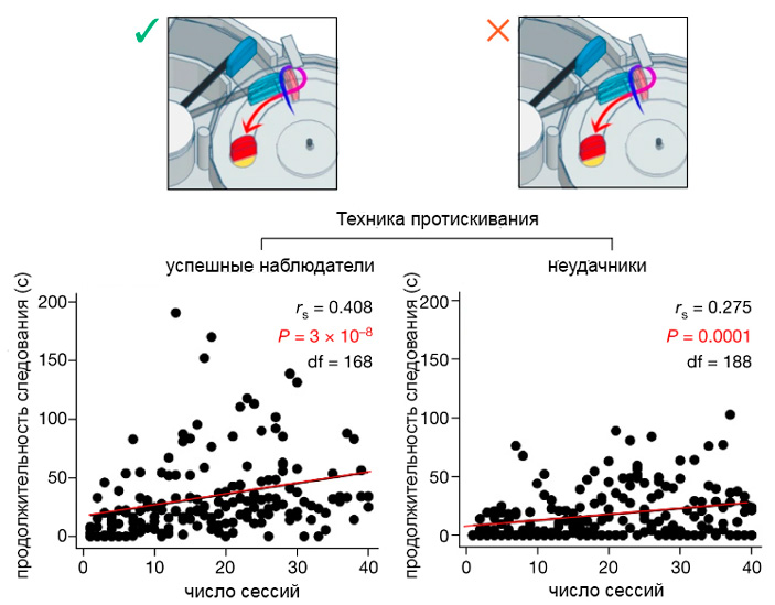 Корреляция между временем следования за демонстратором у успешных и у неуспешных учеников