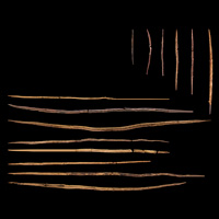 Деревянное копье из Шёнингена